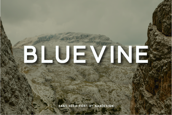 Bluevine: A Trendy Sans Serif Font