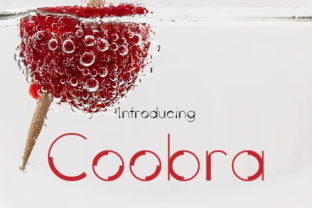 Coobra Font: A Modern Typeface for Memorable Marketing