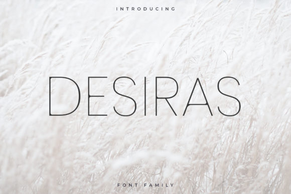Desiras: A Timeless Sans Serif Font