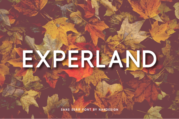 Experland: A Font That Elevates Every Campaign
