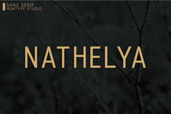 Nathelya: A Clean Font for Professional Branding