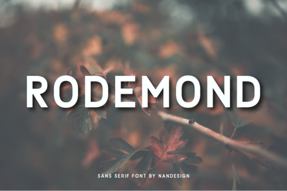 Rodemond: A Modern Sans Serif