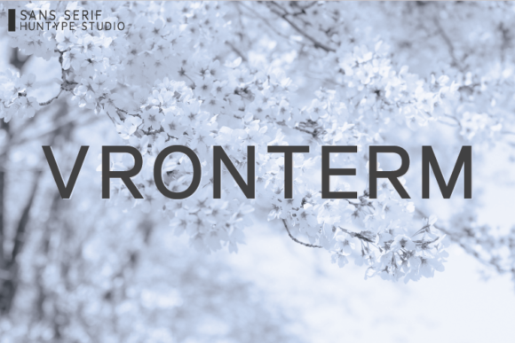 Vronterm: A Font for Polished Branding